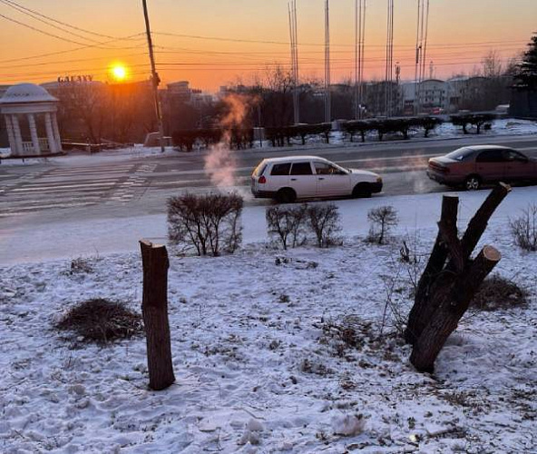 За несанкционированную подрезку деревьев в Улан-Удэ будут штрафовать