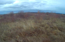 � ������� ���������� ���������� ����������� �������������