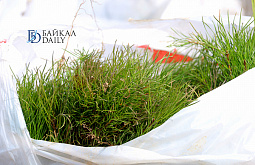 ������ ������������ ����� �������� � ��������� �������