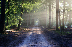 � ��������� ������� ���������� ��������������� �����