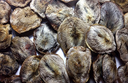 �� ������� �������� ������� ��������� ������ ������� �� 25 ���������