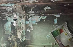 � ��������� ������� �� �������� ��������� �������������� 40 �������