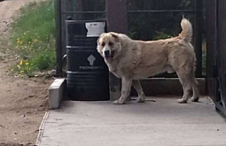 � ������� �������� ������� ��������� ������