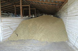 � ������� ��������� � ��������-2026