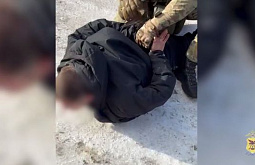 Забайкалец умыкнул 11 мешков кедрового ореха 