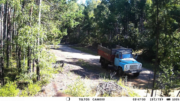 ��������� � ���� ������� ������� ������� ����������� 