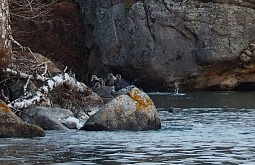 �� ����������� ���� ������� GPS-������