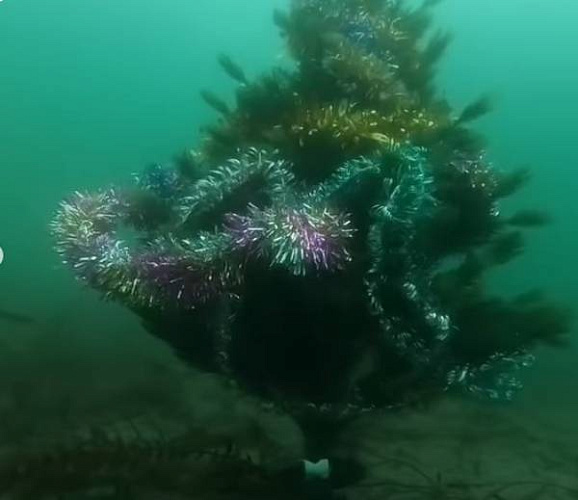 ���� �� ��� ������� ����������� ��������������� ��������� 