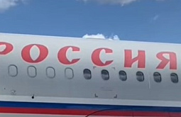 Борт правительства России сел в Чите из-за попадания птицы в двигатель 