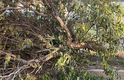 � ������ ����-��� ����������� ������������ ���� ������ 