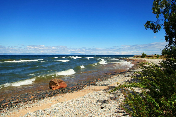 ����� �������: �������� ���� �������� 