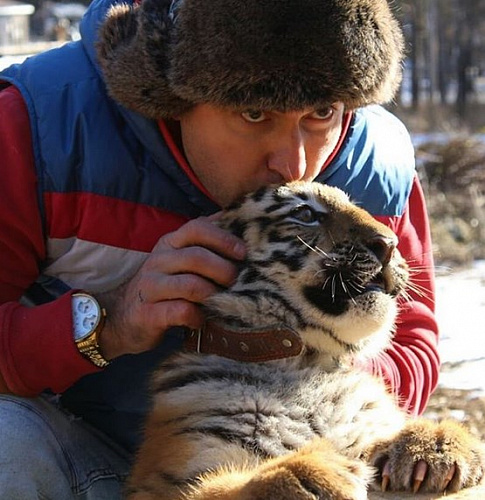 Тигрёнок из Барнаула поселился в Улан-Удэ 