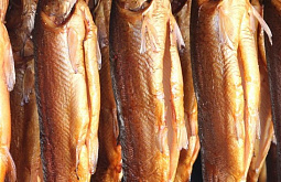 ���������� ������� ����������� �� �������� ����� �� ������� 