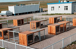 � ��������� ����-��� ����� ������� �������� ��� ���������� ��������� �����