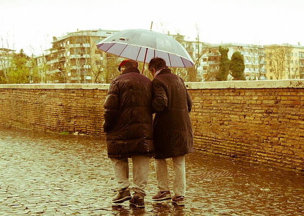 �������� ���������� ������ ��������� ����������� �������� 