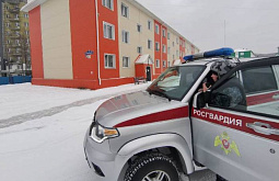 ������ ������ ������� ������� ������������ � �������� ���� 