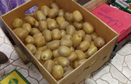 � ��������� ������� ���������� ������ ���� 