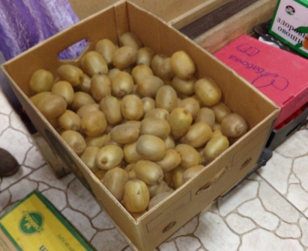 � ��������� ������� ���������� ������ ���� 