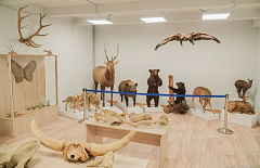 ����� � ������ ������� ������� ����� ������������ 