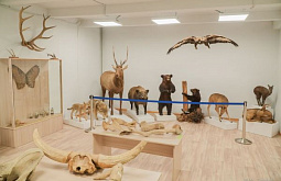 ����� � ������ ������� ������� ����� ������������ 