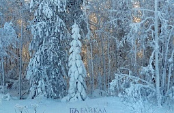 � ������� �� ����� ������� 93 ��������