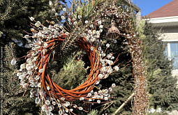 � ����-��� �������� �������� ������� �����������