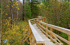 � ����������� ����������� ������� ����� ������������� �����