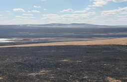 � ���������� ��������� ������������� ����� 