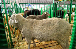 ������� � ���������� �������� ������� �� ����������� ������