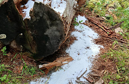 � �������� ������� �������� �������� �������