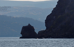 �� ������ �������� ��������� ����� 