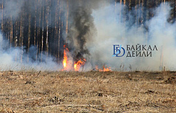 � ������� ����� ��� ������ ������