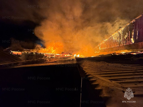 � ��������� ������� ������� ����� ��� ���� �� ������������ �������