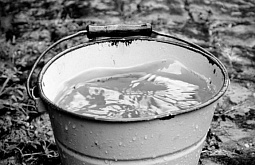 ���������� ������� �������� ����� 130 ����� �� ����� � ��������