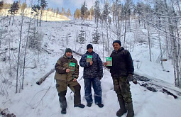 ������� ������� �������� ����� � ���������� ��������