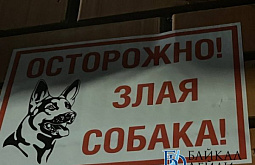 � ����-��� ������������ �� ������ ������� �������� 100 �����